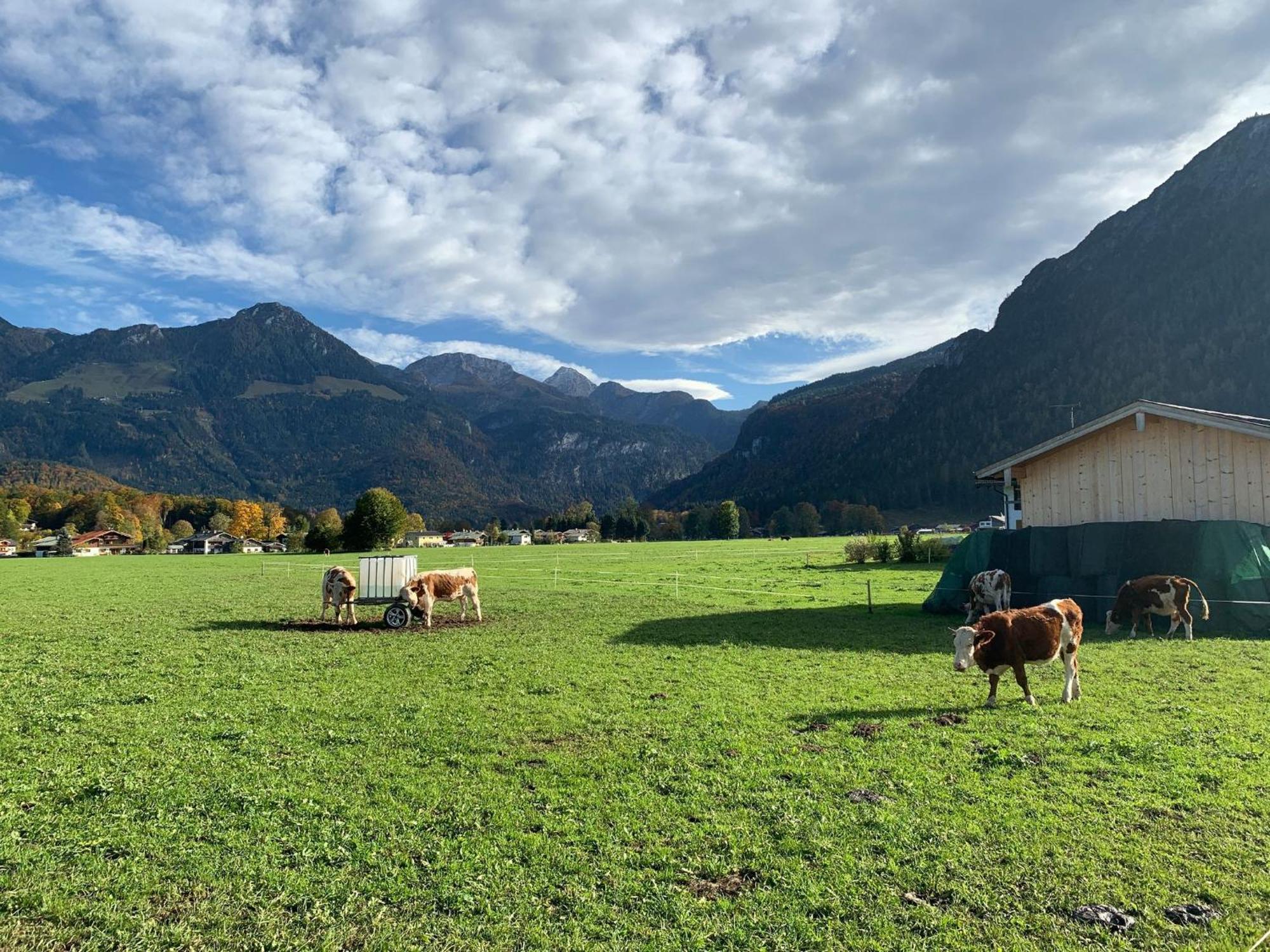 Ferienwohnung Hochkalterblick Schönau am Königssee 外观 照片